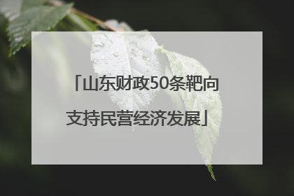 山东财政50条靶向支持民营经济发展