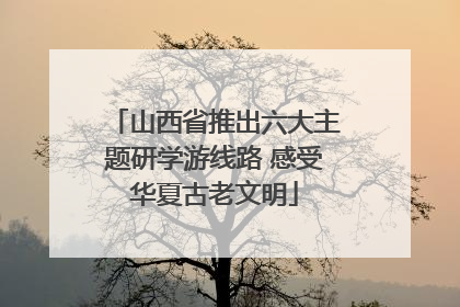 山西省推出六大主题研学游线路 感受华夏古老文明