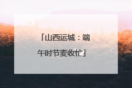 山西运城：端午时节麦收忙