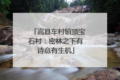 嵩县车村镇顶宝石村：密林之下有诗意有生机