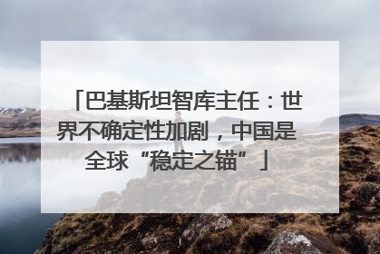 巴基斯坦智库主任：世界不确定性加剧，中国是全球“稳定之锚”