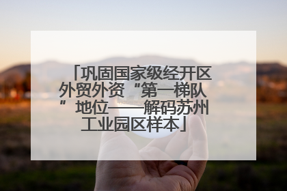 巩固国家级经开区外贸外资“第一梯队”地位——解码苏州工业园区样本