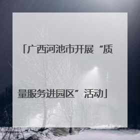 广西河池市开展“质量服务进园区”活动