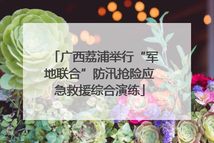 广西荔浦举行“军地联合”防汛抢险应急救援综合演练