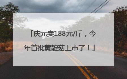 庆元卖188元/斤，今年首批黄靛菇上市了！