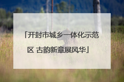 开封市城乡一体化示范区 古韵新章展风华