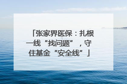 张家界医保：扎根一线“找问题”，守住基金“安全线”