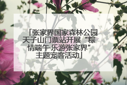 张家界国家森林公园天子山门票站开展“粽情端午·乐游张家界”主题宠客活动