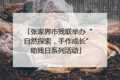 张家界市残联举办“自然探索，手作成长”助残日系列活动