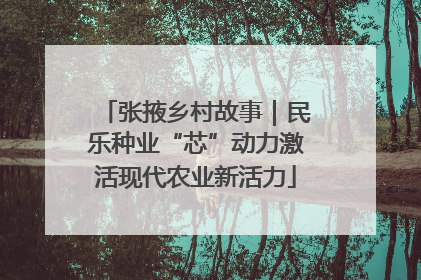 张掖乡村故事｜民乐种业“芯”动力激活现代农业新活力