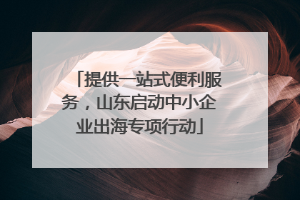 提供一站式便利服务，山东启动中小企业出海专项行动