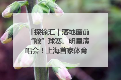 探徐汇｜落地窗前“瞰”球赛、明星演唱会！上海首家体育特色高端酒店亮相