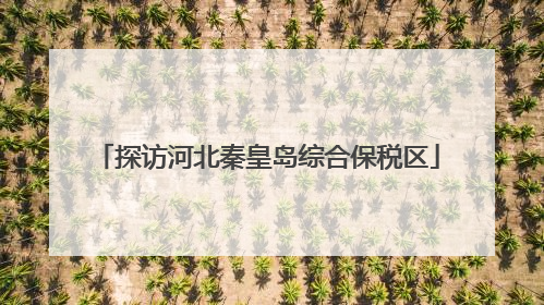 探访河北秦皇岛综合保税区