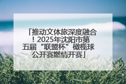 推动文体旅深度融合！2025年沈阳市第五届“联盟杯”橄榄球公开赛燃情开赛