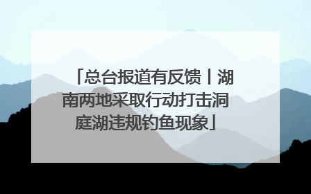 总台报道有反馈丨湖南两地采取行动打击洞庭湖违规钓鱼现象