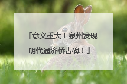 意义重大！泉州发现明代通济桥古碑！