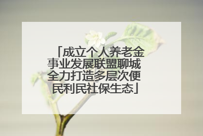成立个人养老金事业发展联盟聊城全力打造多层次便民利民社保生态