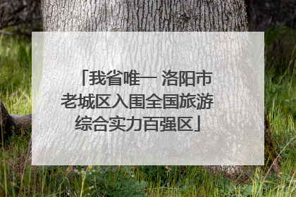 我省唯一 洛阳市老城区入围全国旅游综合实力百强区