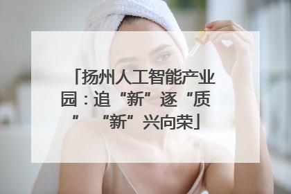 扬州人工智能产业园：追“新”逐“质” “新”兴向荣