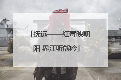 抚远——红莓映朝阳 界江听熊吟