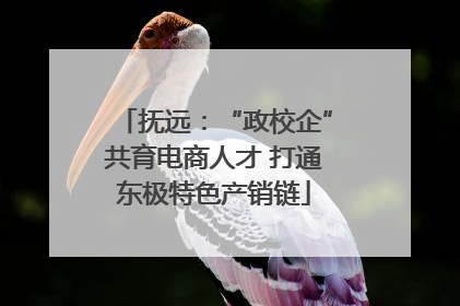 抚远：“政校企”共育电商人才 打通东极特色产销链