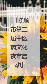 抚顺市第二届中医药文化夜市启动