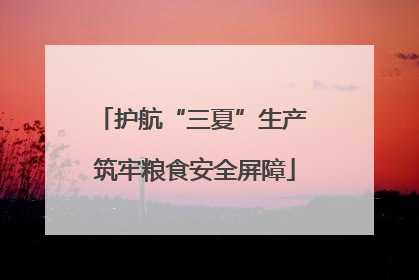 护航“三夏”生产 筑牢粮食安全屏障