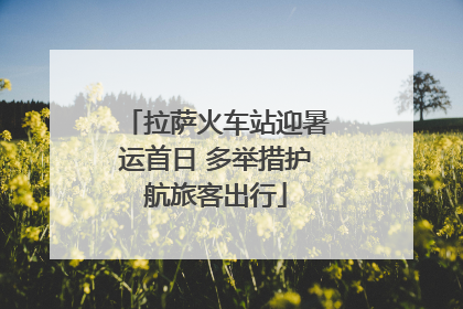 拉萨火车站迎暑运首日 多举措护航旅客出行