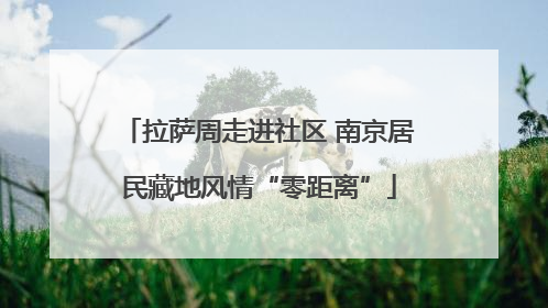 拉萨周走进社区 南京居民藏地风情“零距离”