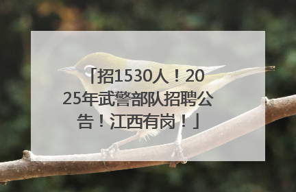 招1530人！2025年武警部队招聘公告！江西有岗！