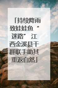 持续降雨致娃娃鱼“迷路” 江西金溪县干群联手助其重返自然