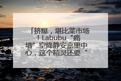挤爆，堪比菜市场！Labubu“痛墙”空降静安嘉里中心，这个精灵还要“突袭”便利店？