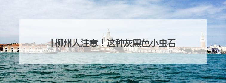 柳州人注意！这种灰黑色小虫看到一只，家里很可能已有一万只