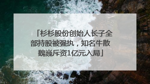 杉杉股份创始人长子全部持股被强执，知名牛散魏巍斥资1亿元入局