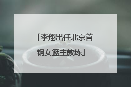 李翔出任北京首钢女篮主教练