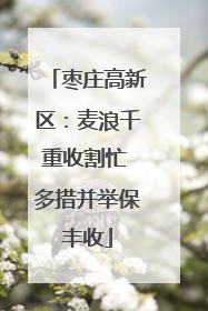 枣庄高新区：麦浪千重收割忙 多措并举保丰收