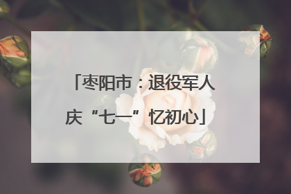 枣阳市：退役军人庆“七一”忆初心