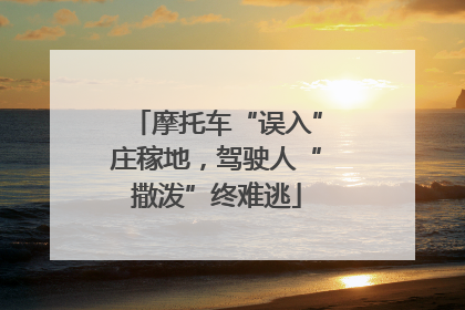 摩托车“误入”庄稼地，驾驶人“撒泼”终难逃
