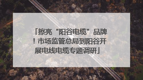擦亮“阳谷电缆”品牌！市场监管总局到阳谷开展电线电缆专题调研
