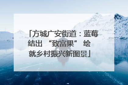 方城广安街道：蓝莓结出 “致富果” 绘就乡村振兴新图景
