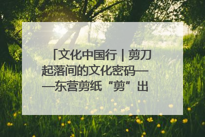 文化中国行｜剪刀起落间的文化密码——东营剪纸“剪”出非遗传承与现代生活的融合之道
