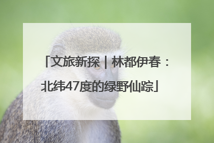 文旅新探｜林都伊春：北纬47度的绿野仙踪