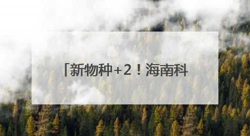 新物种+2！海南科研团队发现素贞灵芝和自然保护地壁虎