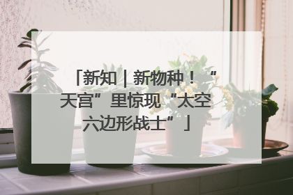新知｜新物种！“天宫”里惊现“太空六边形战士”
