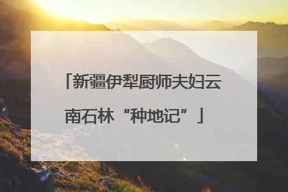 新疆伊犁厨师夫妇云南石林“种地记”