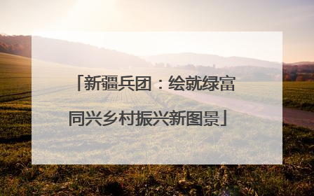 新疆兵团：绘就绿富同兴乡村振兴新图景