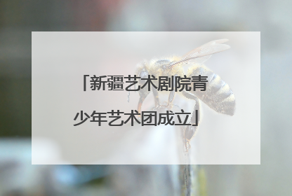 新疆艺术剧院青少年艺术团成立