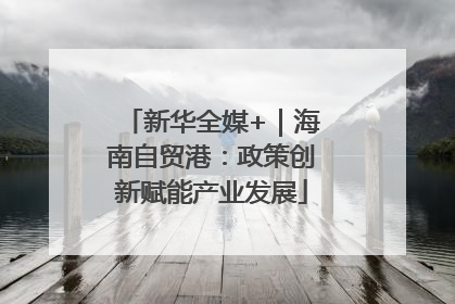 新华全媒+｜海南自贸港：政策创新赋能产业发展