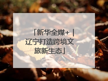 新华全媒+｜辽宁打造跨境文旅新生态