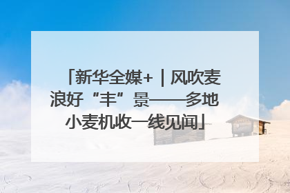 新华全媒+｜风吹麦浪好“丰”景——多地小麦机收一线见闻